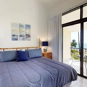 beach-villa-233.top-hotels-puertorico.com/